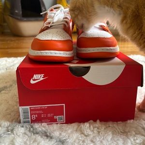Nike dunk low Syracuse 2020/2022
